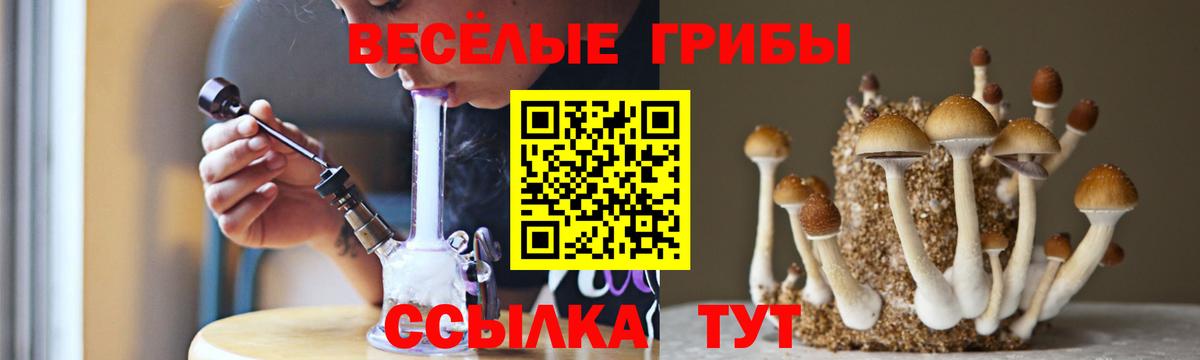 Галлюциногенные грибы мухоморы Ревда